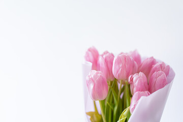Pink tulips on a white background. Beautiful Card for Mother's Day or Women's Day.