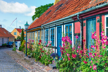 Ronne Town streets growed by colorful hollyhock flowers on Bornholm island Denmark. - obrazy, fototapety, plakaty