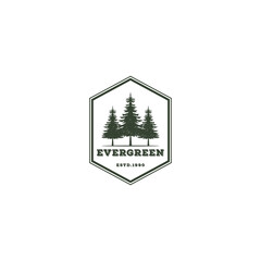 Rustic Retro Vintage pine evergreen logo template in white background