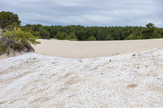 Shell midden (sambaqui) on the sand dunes of Balneario Atlantico Beach, in Arroio do Sal, Rio Grande do Sul, Brazil