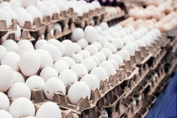 Lots of eggs in a carton, close up, isolated