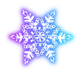 Collection of snowflake neon