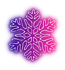 Collection of snowflake neon