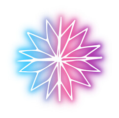 Collection of snowflake neon
