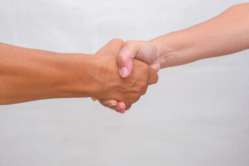 Close-up: Male and female handshake.