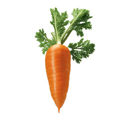 Carrot. Generative AI.