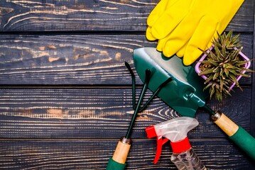 Garden tools on the background of a brown wooden table. 