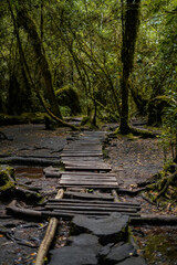 Bridge in Las Cascadas - Chile, Patagonia