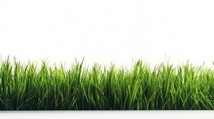 Fototapeta premium Green grass field on white background, generative ai