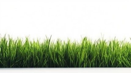 Green grass field on white background, generative ai