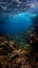 Fototapeta na wymiar Artistic underwater photo of magic landscape and coral reef in rays of sunlight.