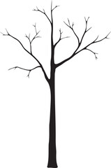 Black and white, vector illustration. Silhouette of a tall, empty, dry, isolated, old tree. Drawn by hand. Black outline of a tree without leaves. For design and decoration.