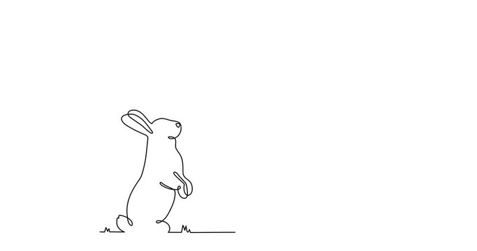Easter bunny and eggs one line animation, hand drawn paschal rabbit continuous contour motion.Christian holiday design, festive decoration,simple design.4k movie