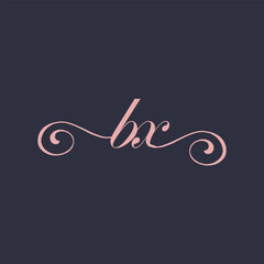  Initial Handwritten BX B X Letters Logo with a minimalist design.
