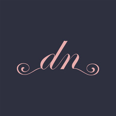  Initial Handwritten DN D N Letters Logo with a minimalist design.