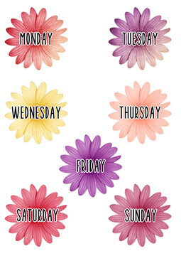 set of flowers with weekdays