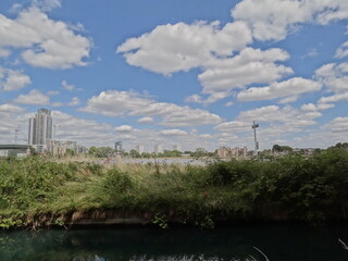 river and marshlands