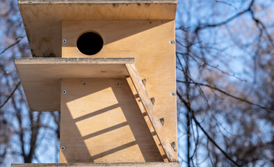 Birdhouse for birds with a ladder on a tree.