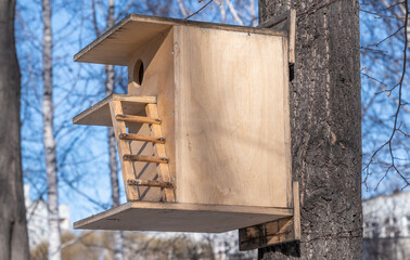 Birdhouse for birds with a ladder on a tree.