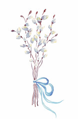 Willow bouquet. Watercolor clipart. Hand-painted