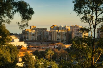 Obraz premium Beautiful view of apartment buildings in a town with tree branches in a foreground
