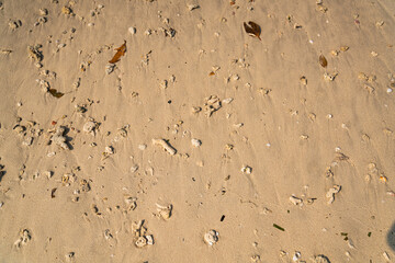 Sand Untergrund Boden 