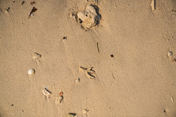 Sand Untergrund Boden 