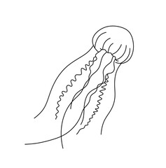 Vector isolated one single beautiful jellyfish with long tentacles colorless black and white contour line easy drawing - obrazy, fototapety, plakaty