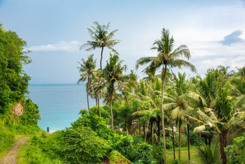 Fototapeta na wymiar Path to the sea coast among palm trees and rainforest
