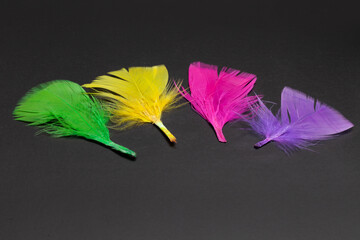 colorful feathers on isolated on black background