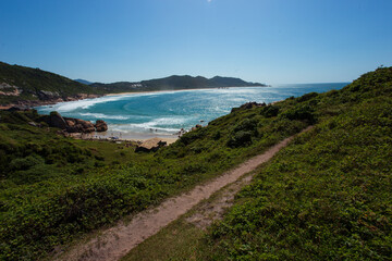 brazilian summer beach breaze