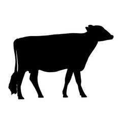 silhouette of a cow