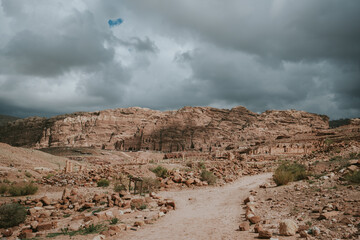 landscape of the desert