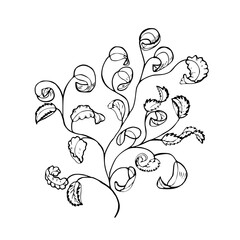 Vintage ink hand drawing leaf branch