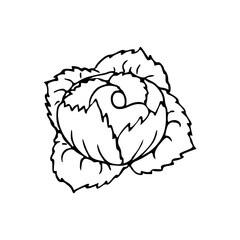 Vintage ink hand drawing  flower 