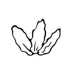 Vintage ink hand drawing little flower 