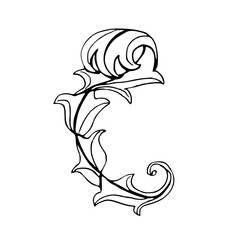 Vintage ink hand drawing  acanthus leaf