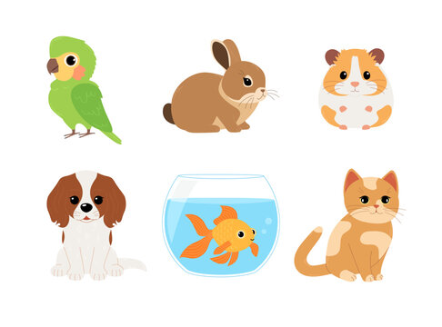 Set of home pets: parrot, rabbit, hamster, dog, fish and cat. Cute domestic animals. Vector flat illustration isolated on white background