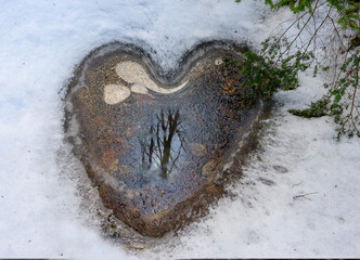 Warmer weather and melting and refreezing of the ice created this heart-shaped partially frozen puddle in the woods at Cole Park in Upstate NY.
