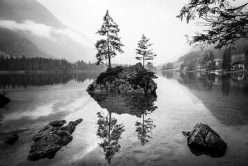 Trees on a rock island in BW - Lake Hintersee, Bavaria, Germany