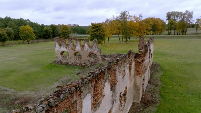 Aerial view of the ruins of Krupe Castle with trees in the background, in Lublin, Poland