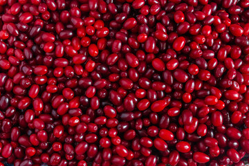 Many ripe dogwood berries lay on the table.