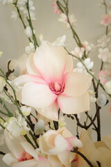 Fototapeta na wymiar White and Pink Color Flower