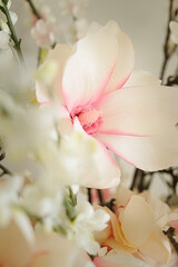 White and Pink Color Flower