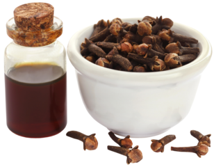 Fresh clove with oil in a jar