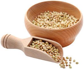 Buckwheat over white background
