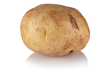 Fresh potatoes on a white background