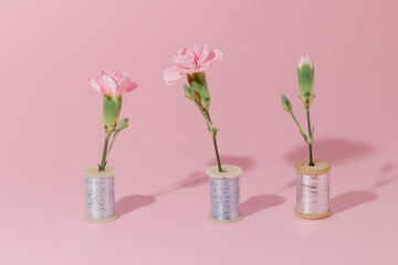 Three pink carnation flowers in a 
skein of thread on a pink background.