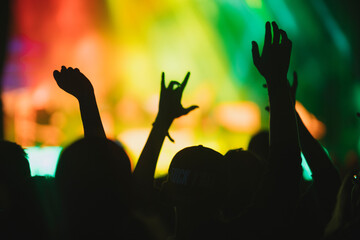 People with raised arms during show