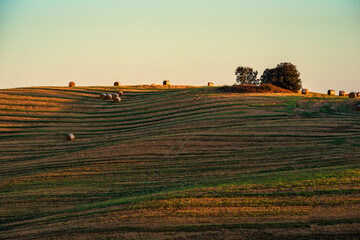 Tuscan landscape of the Sienese hills